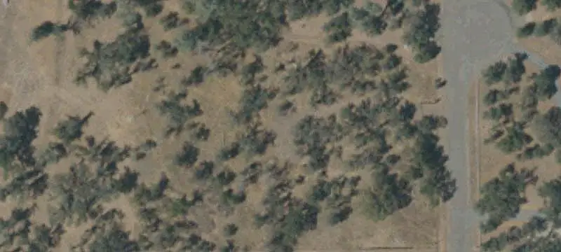 Lots/Land