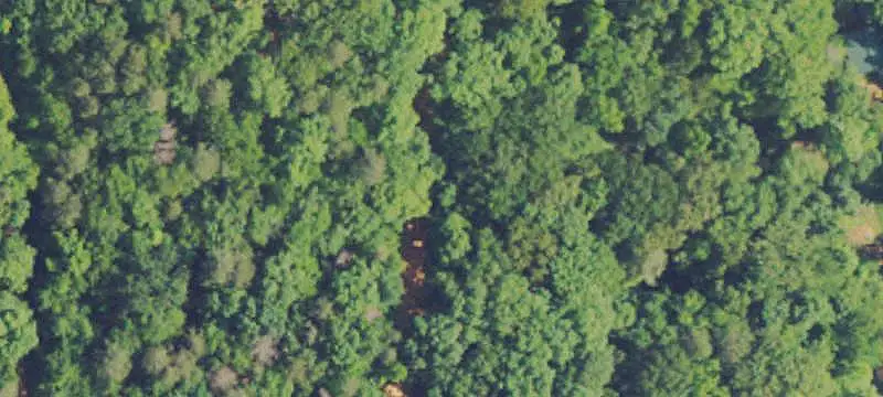 Lots/Land