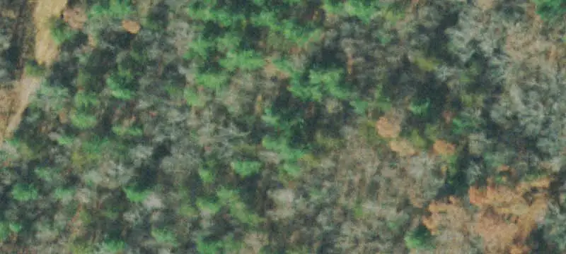 Expansive Agricultural Land