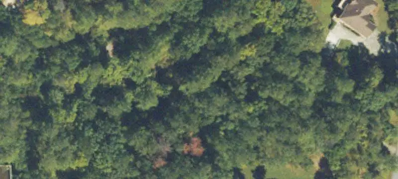 Unimproved Land