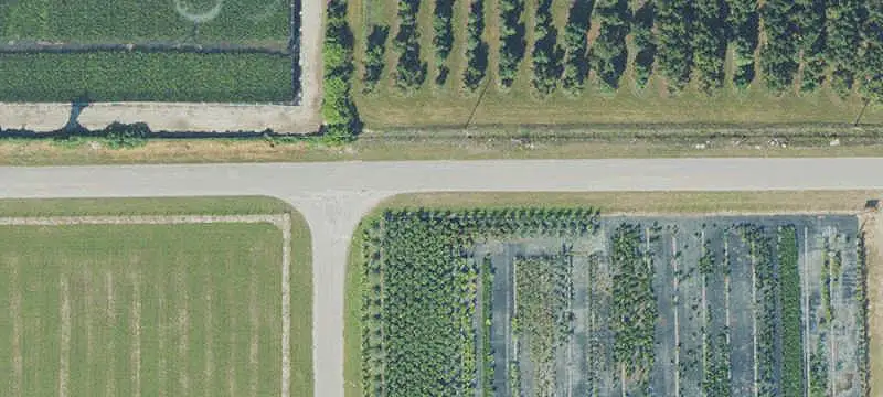 Land