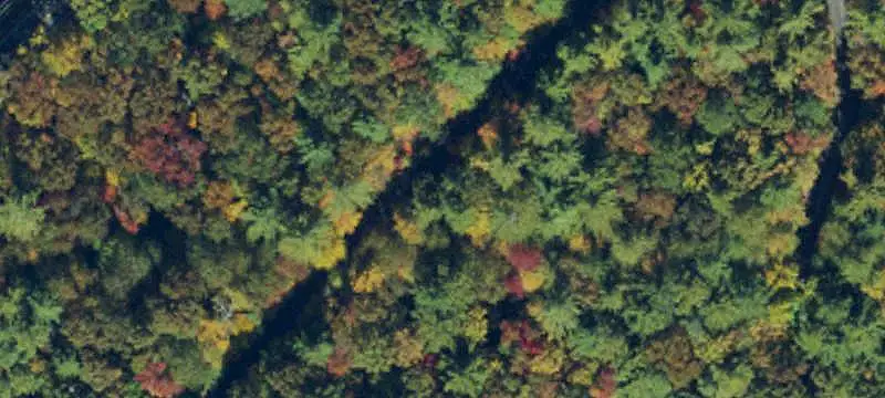 Land/Lot