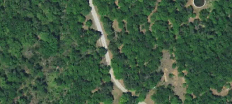 Wooded Hunting Land
