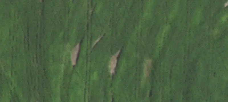 Highway-Frontage Agricultural Land