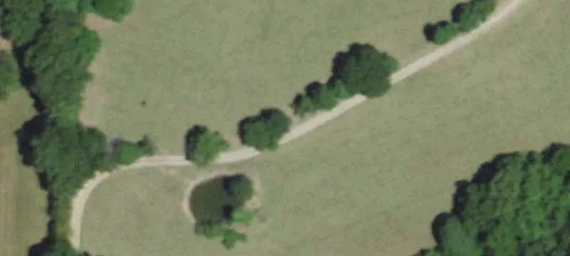 Fenced Agricultural Farmland
