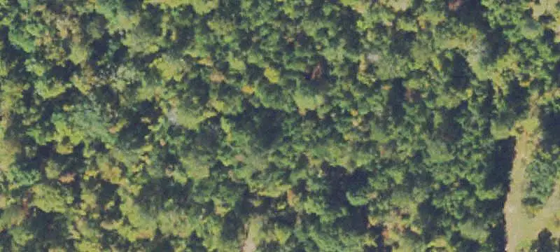 Land / Estate Lot