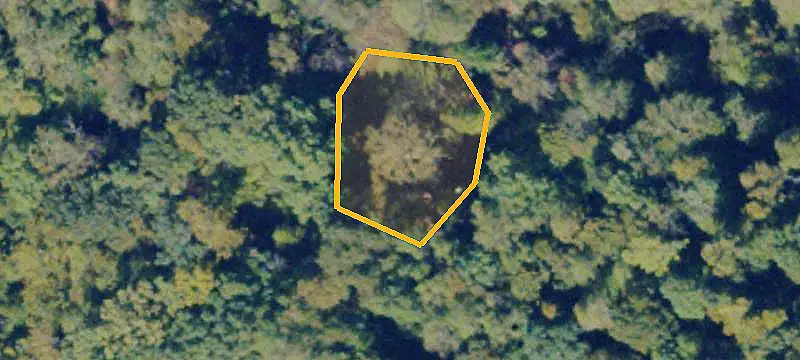 Unimproved Land