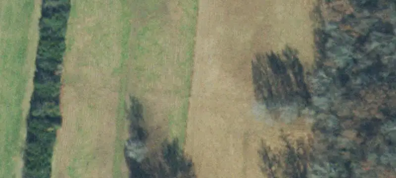 Farm with Equestrian Improvements