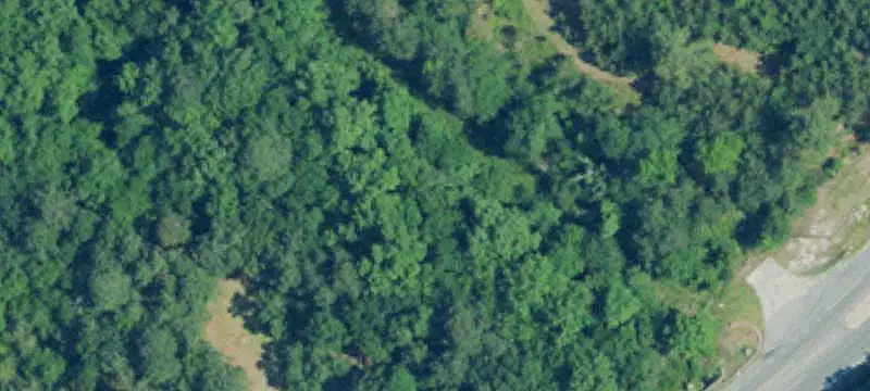 Wooded Corner Commercial Land