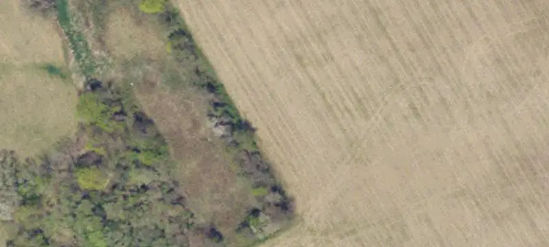 Farm