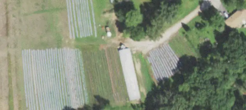 Agricultural Land with Utility Access