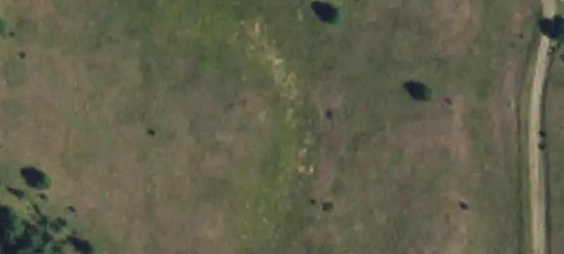 Level Lightly Treed Land