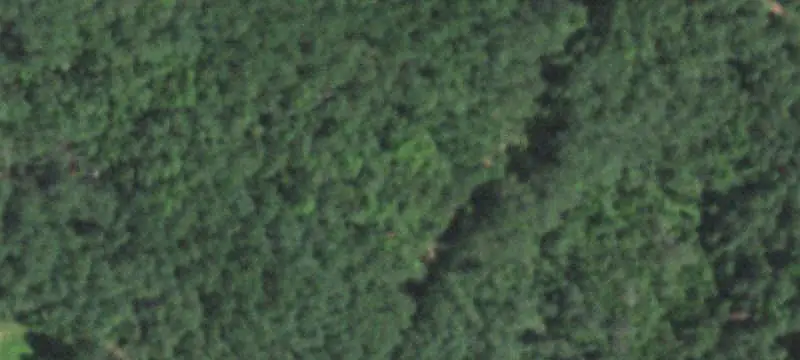 Wooded Hunting Land with Creek