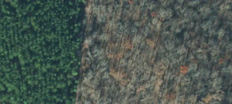 Pasture and Wooded Agricultural Land