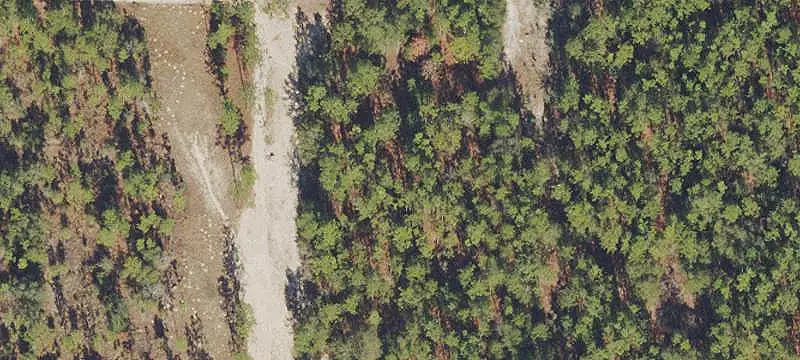 Wooded Hunting Land