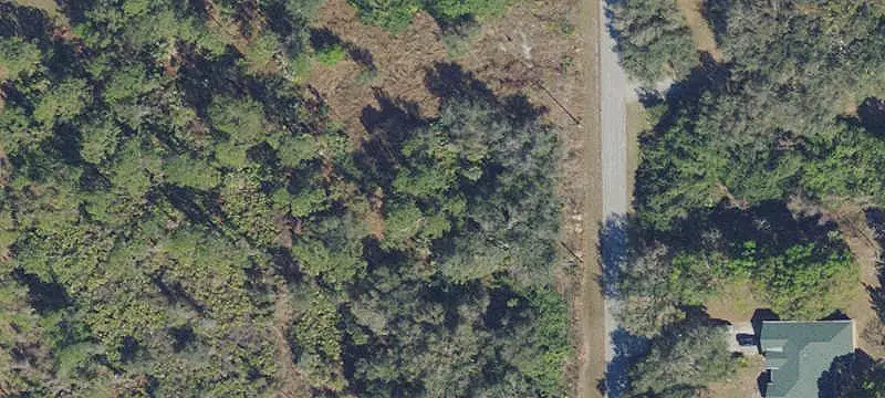 Wooded Land Parcel
