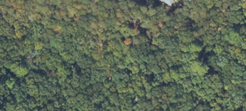 Vacant Land