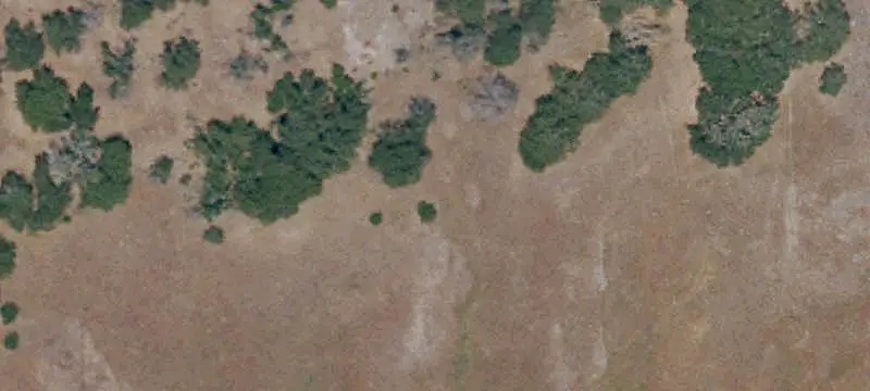 Land / Agriculture