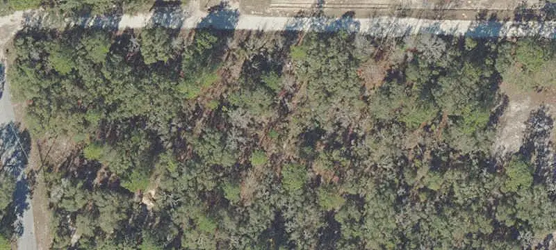 Fenced Agricultural Land