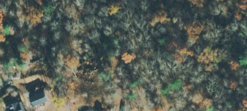 Lots/Land