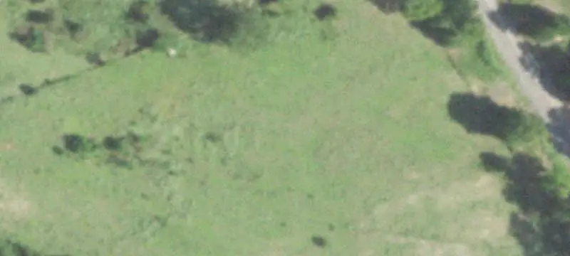 Ranch Property with Barn