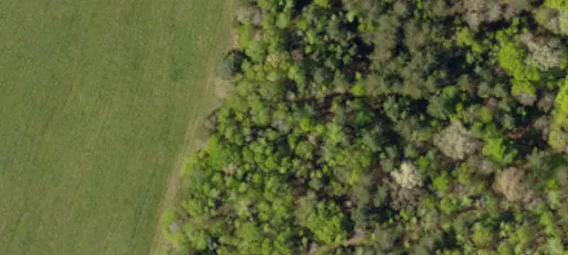 Commercial Land with Fishing Pond