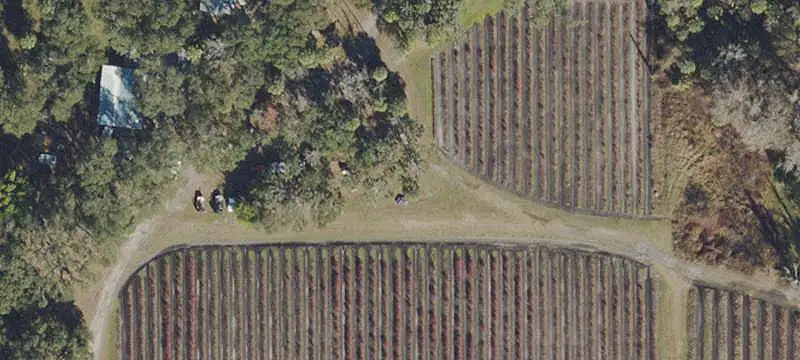 Blueberry Farm with Riverfront