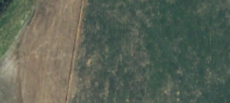 Agricultural Land with Seasonal Pond