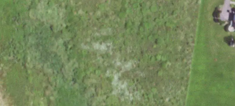 Land