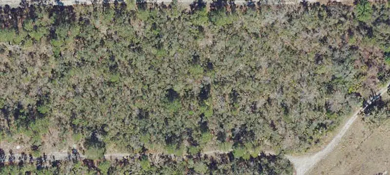 Preserve-Adjacent Land