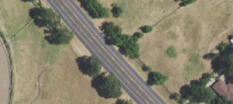 Treed Hunting Land Along Creek