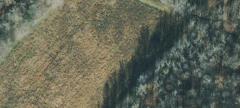 Wooded Land with Underground Utilities