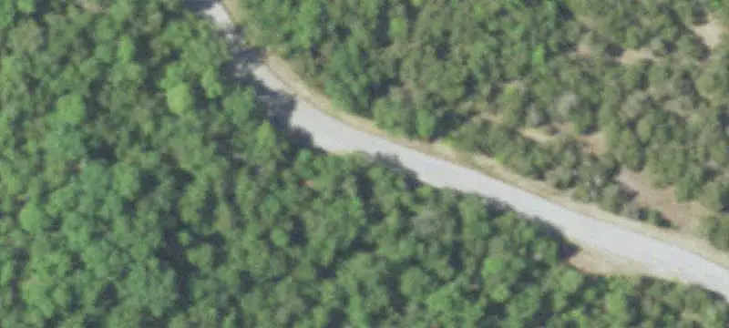Wooded Hunting Land
