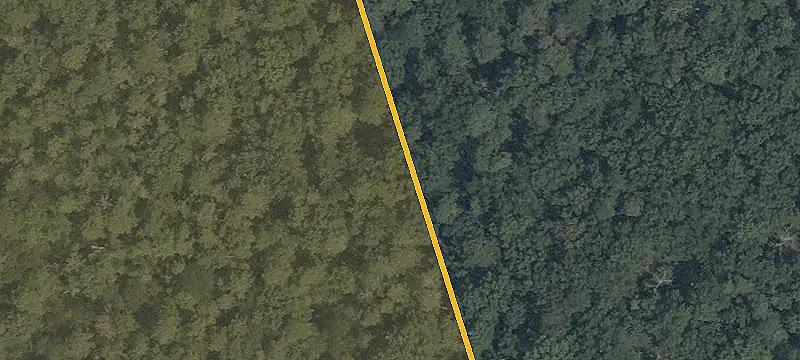 LOTS/LAND / 1 to 6,000 SQFT
