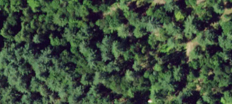 Recreation Land with Camp Improvements