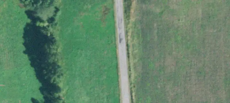 Cattle Farm with Barn