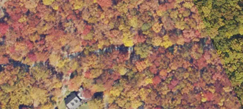 Wooded Recreation Land