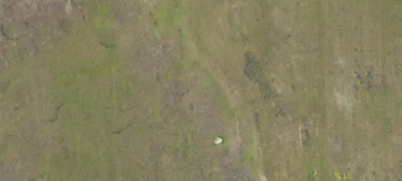 Diverse Hunting Land