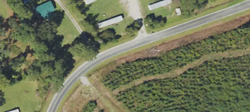 Agricultural Land With Timber
