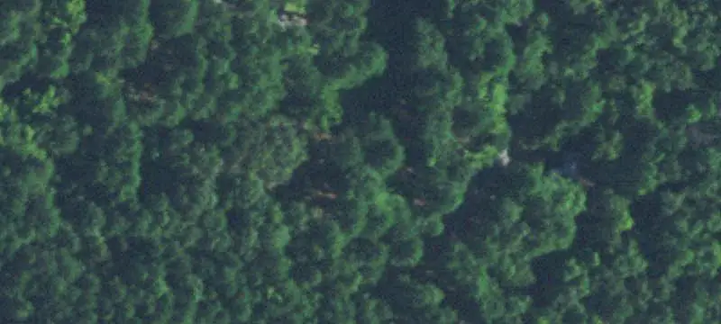 Resort with Cabins and Lodge