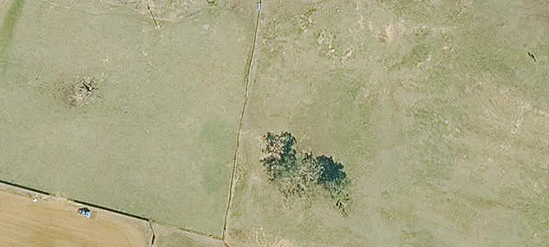 Equestrian Ranch with Roping Arena