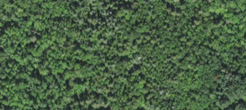 Lakefront Hunting Land with Cabin