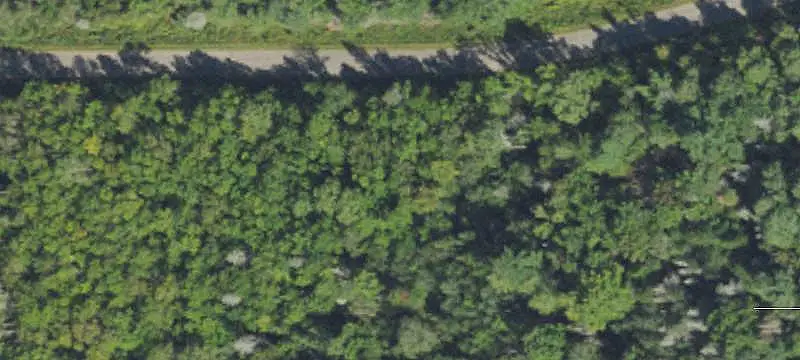 Wooded Grant Lake Waterfront Land