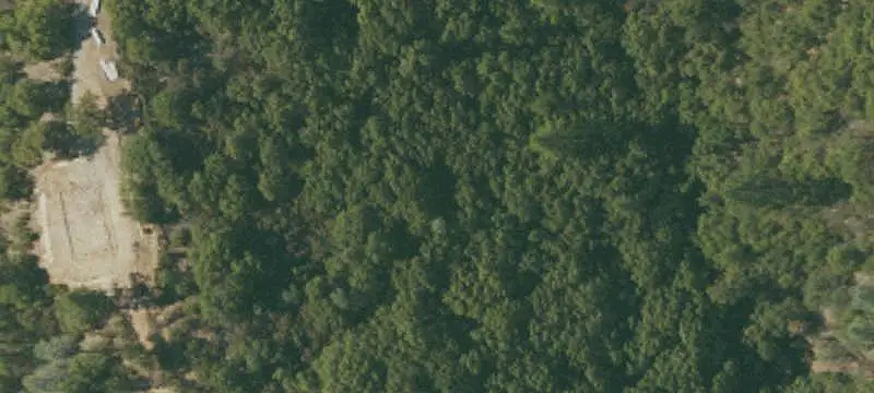 Wooded Land Parcel