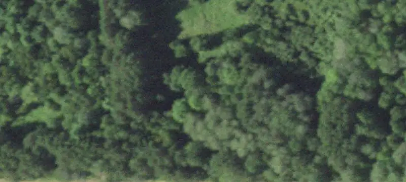 Wooded Recreational Land