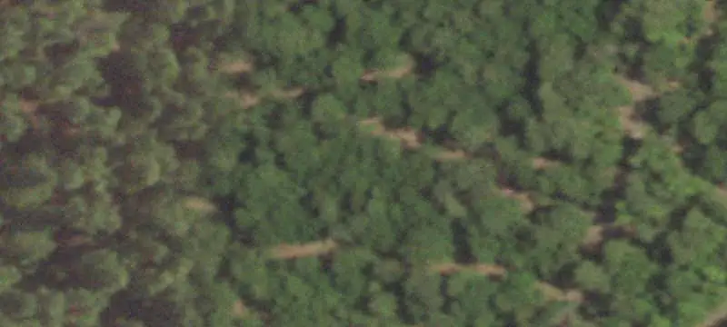Forested Hunting Land With Cabins