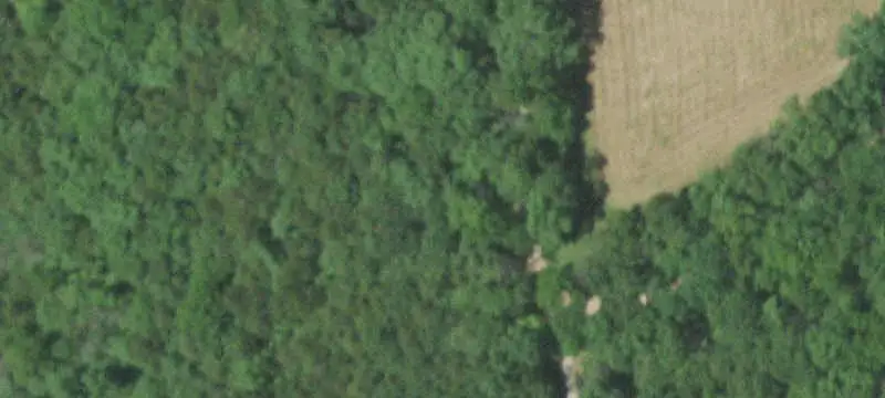 Farm Property with Ponds