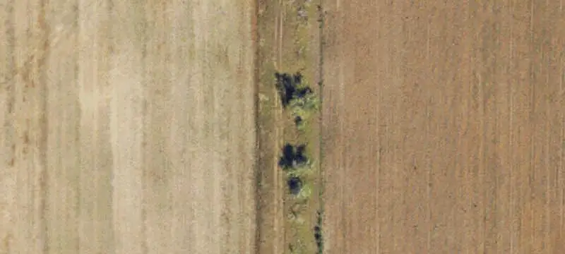 Land