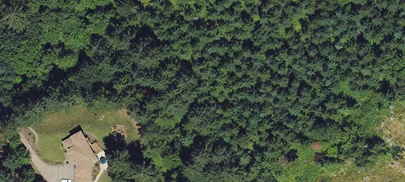 Agricultural Land with Managed Timber