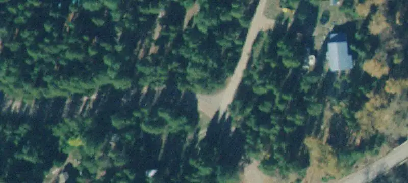 Treed Recreation Land Near Trails